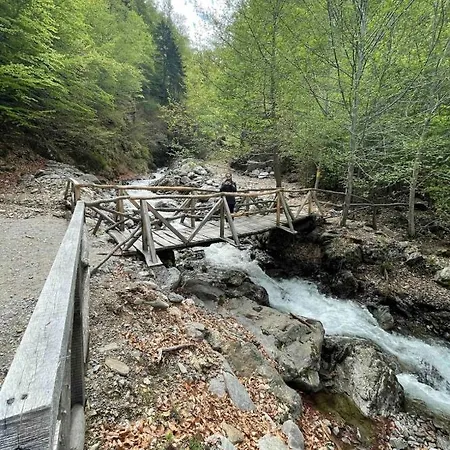 Holiday home Mountain Escape In Carpathian